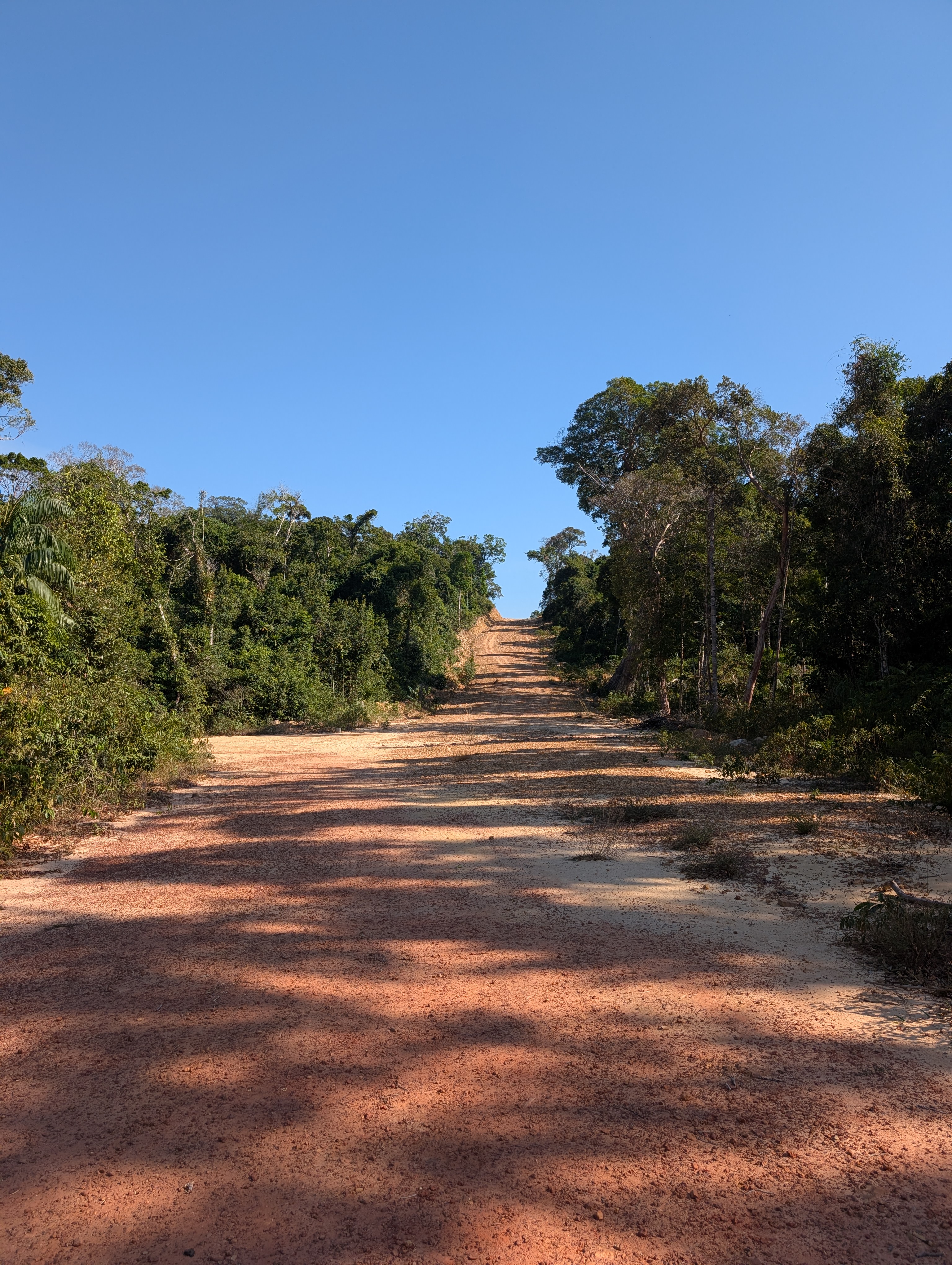 A mud and rubble road, bisecting the forest on Koh Rong Samloem.