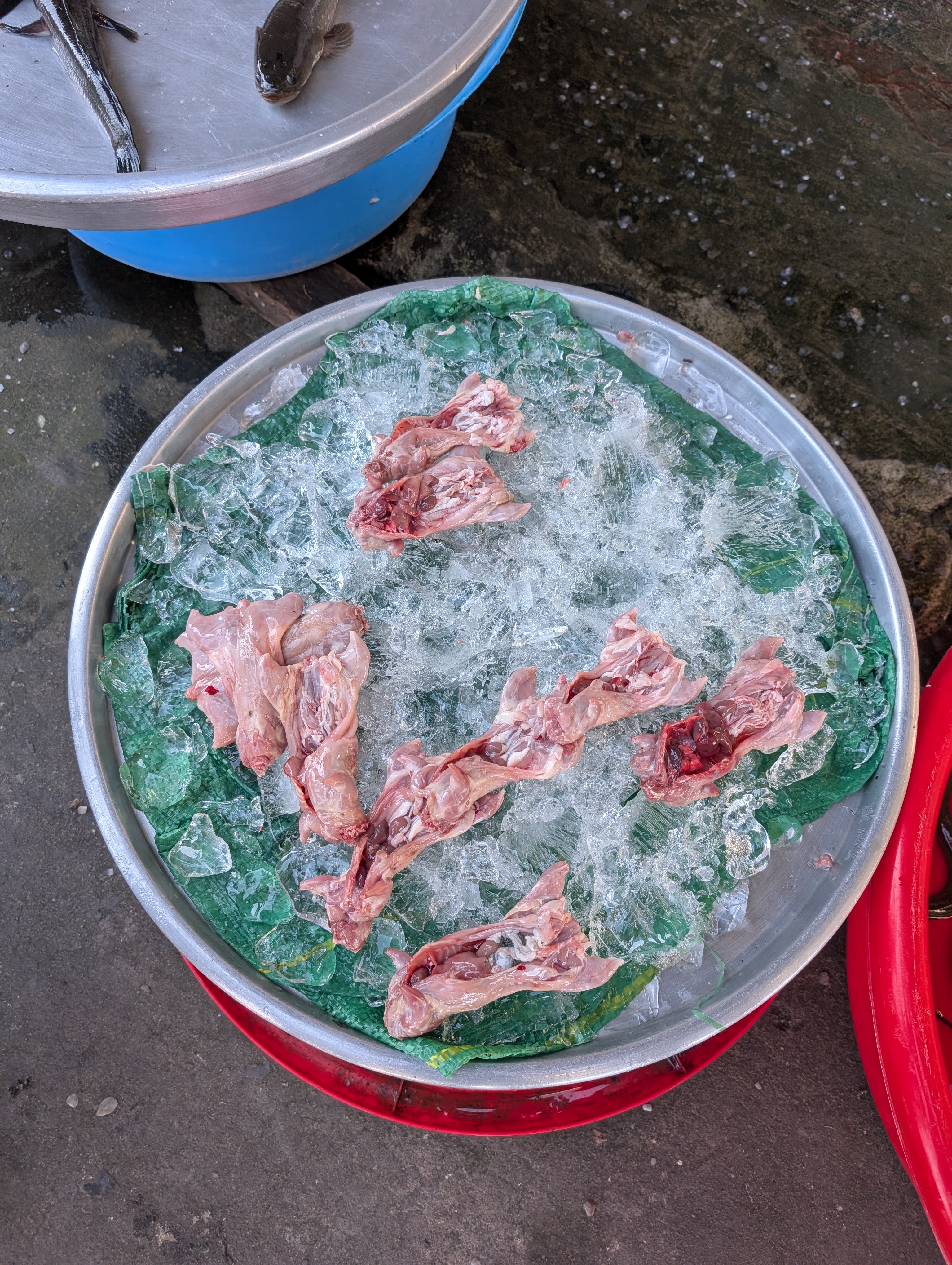 Skinned, beheaded and gutted rats on ice at the market in Can Tho.