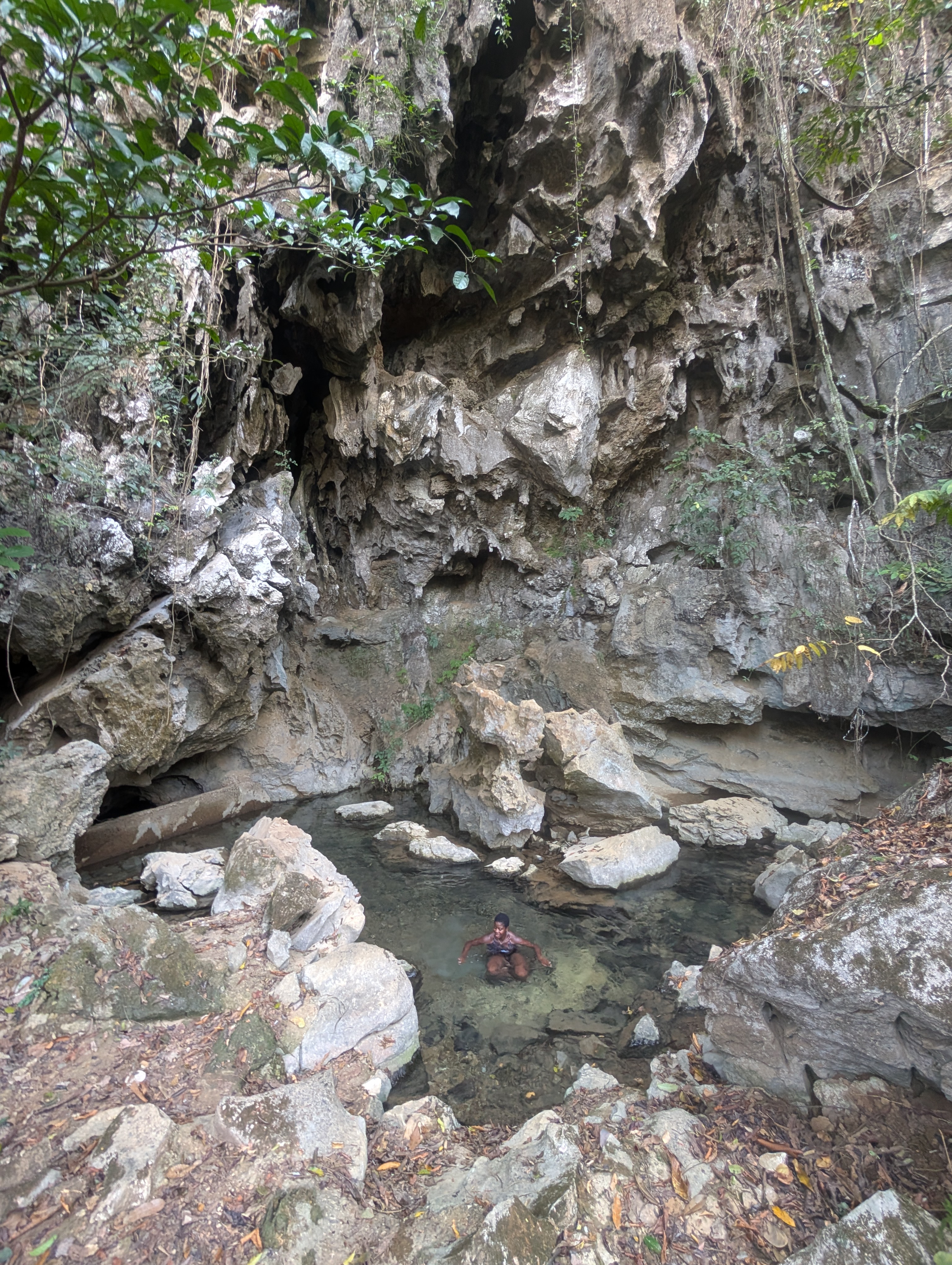 Mary-Ann cooling down in a small cave pool.