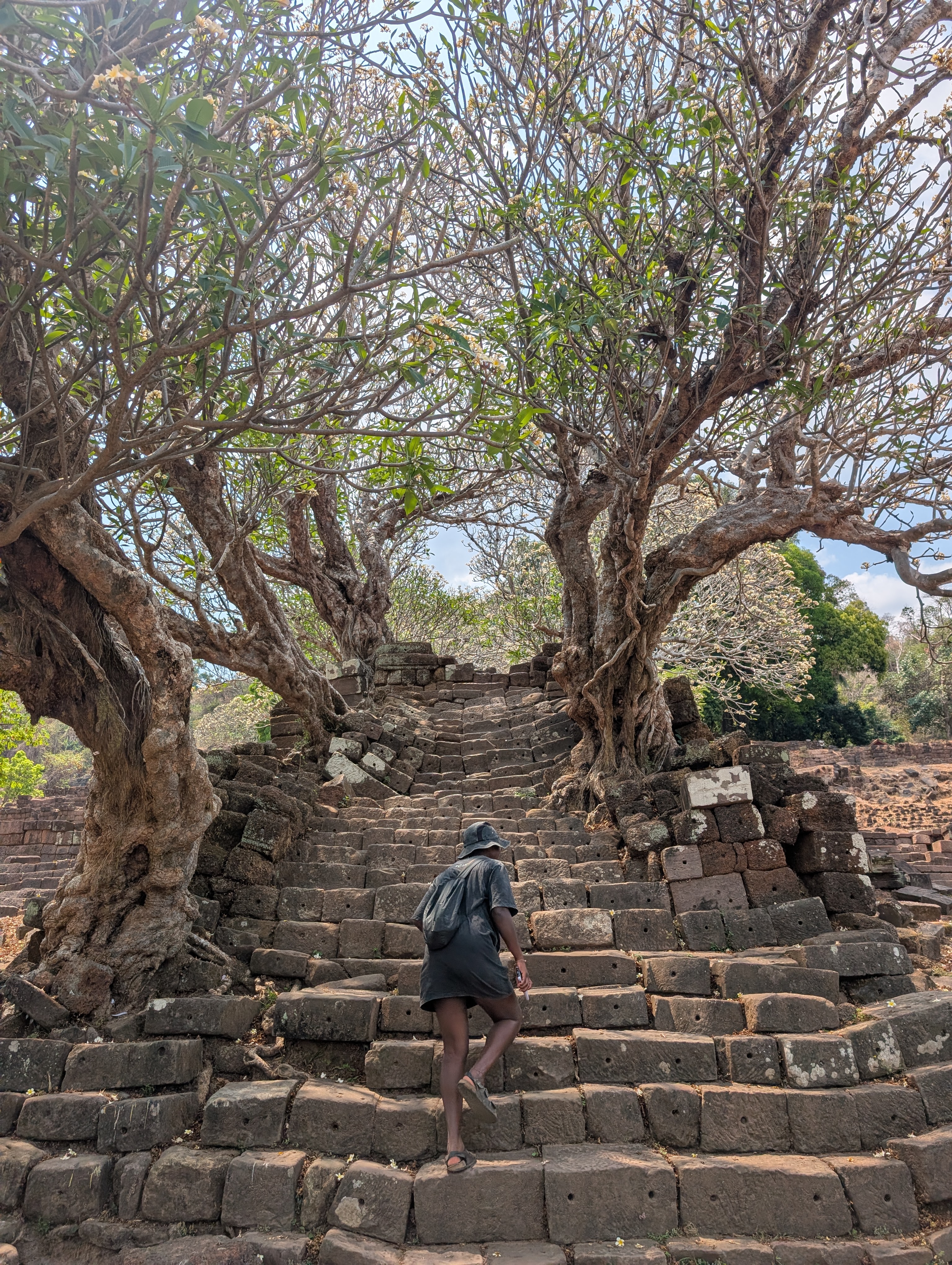 Mary-Ann walking up an ancient stair case, that is wonky, falling to bits and over grown with amazing trees.