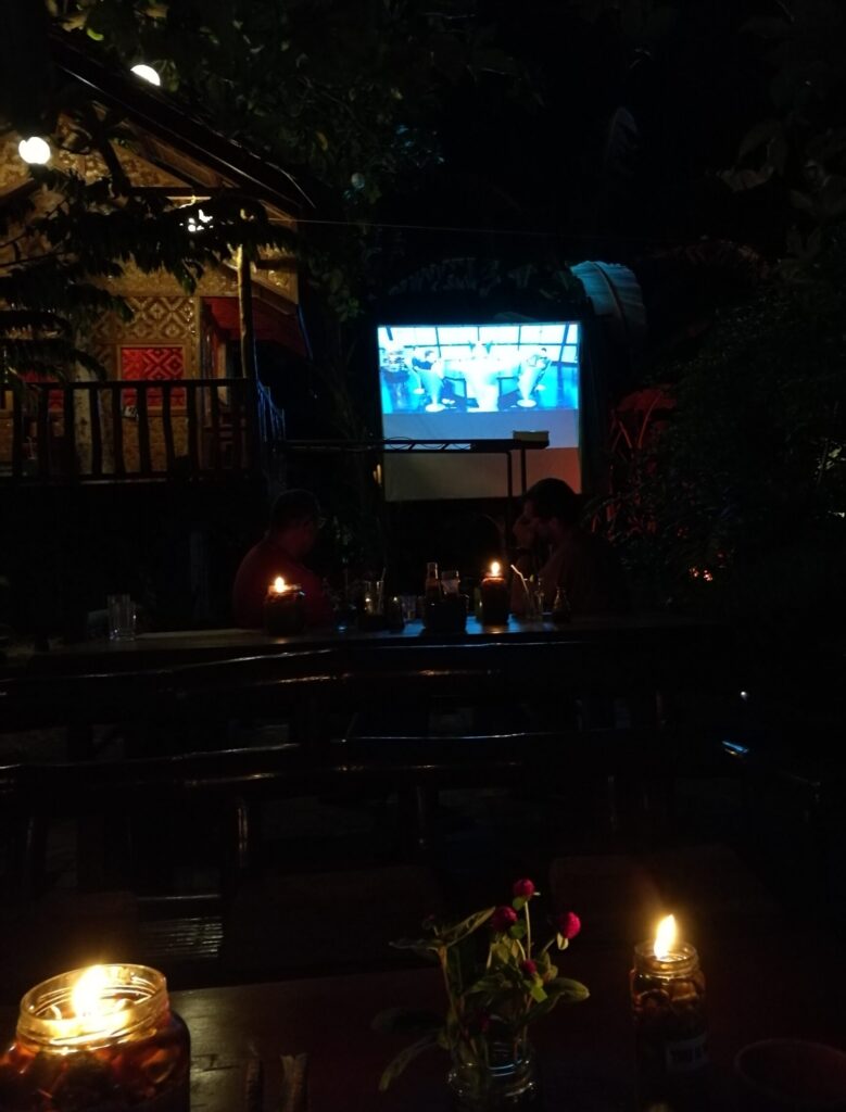A blurry picture of the cinema screenn hung in a tree outside the Baha Bar in siquijor. You can just about make out Dr. Evil sat aroudn his table with his evil minions.