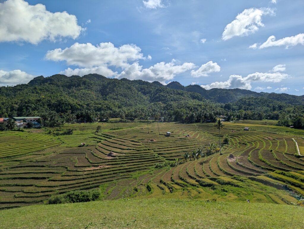 A view across an amazing hilly rice terrace in Bohol.