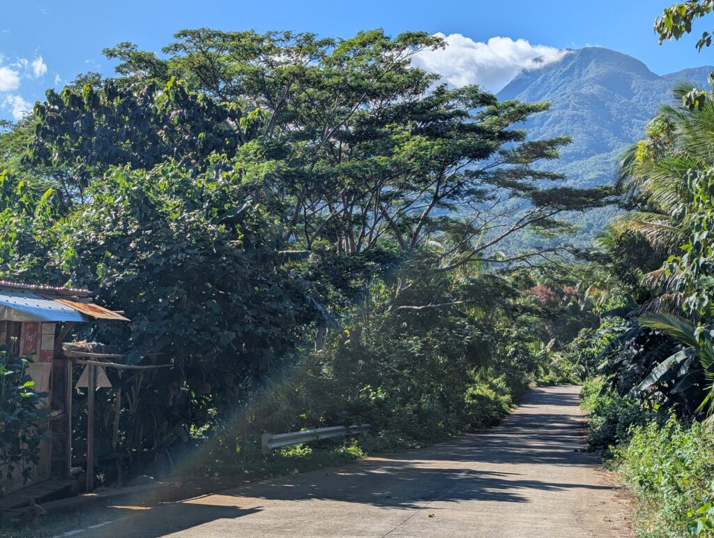 A beautiful view down a hilly road, with trees, palms and a mountain in shot.