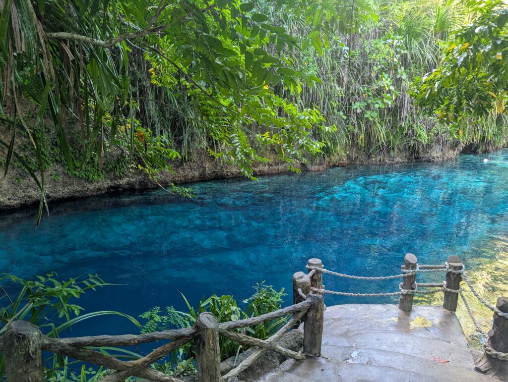 Stone steps leading down to the unreal blue waters of the Enchanted rivers in Mindanao. It doesnt look real!