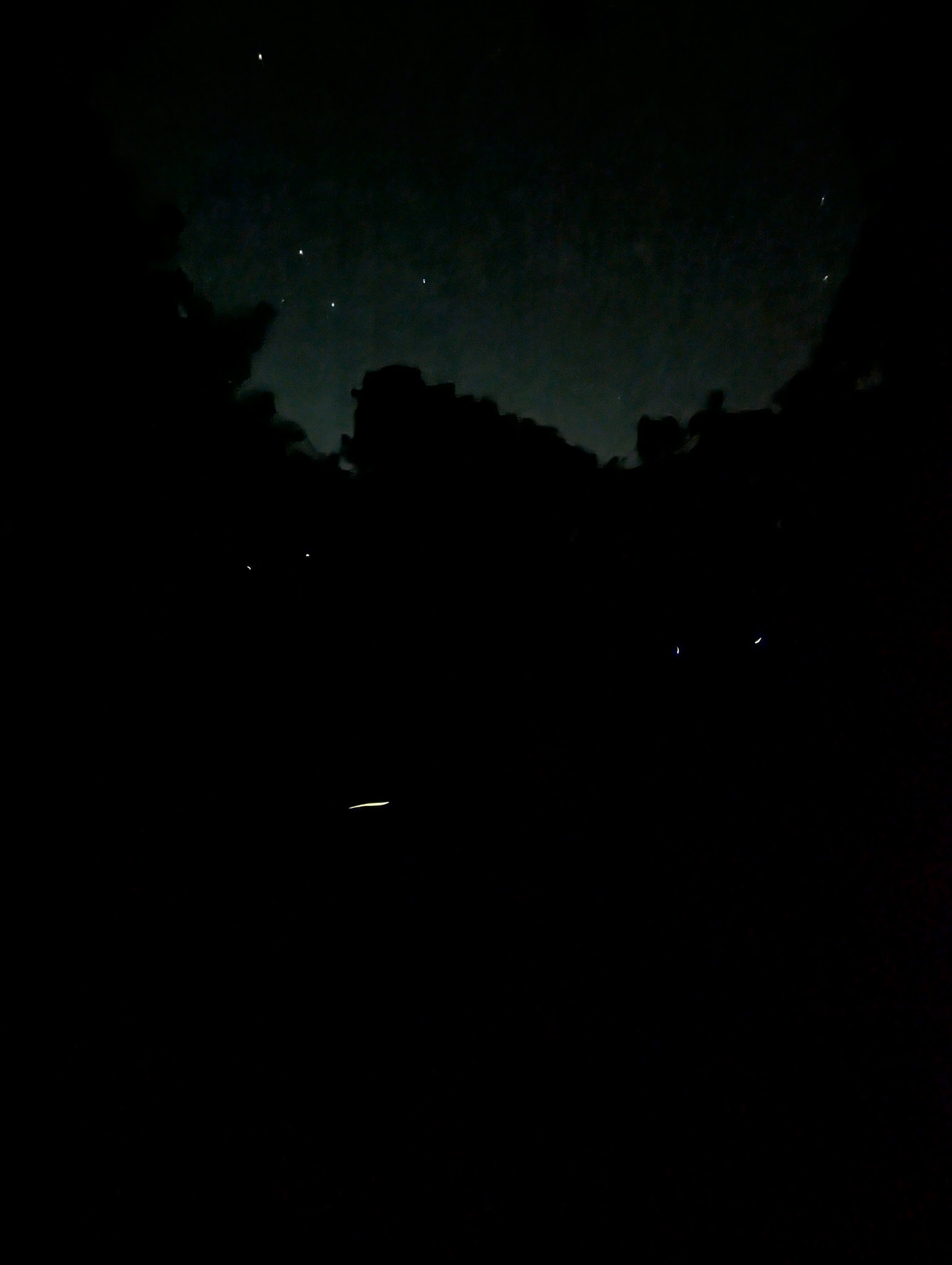 A nigthtime image, showing stars in the sky and fireflies among the trees.
