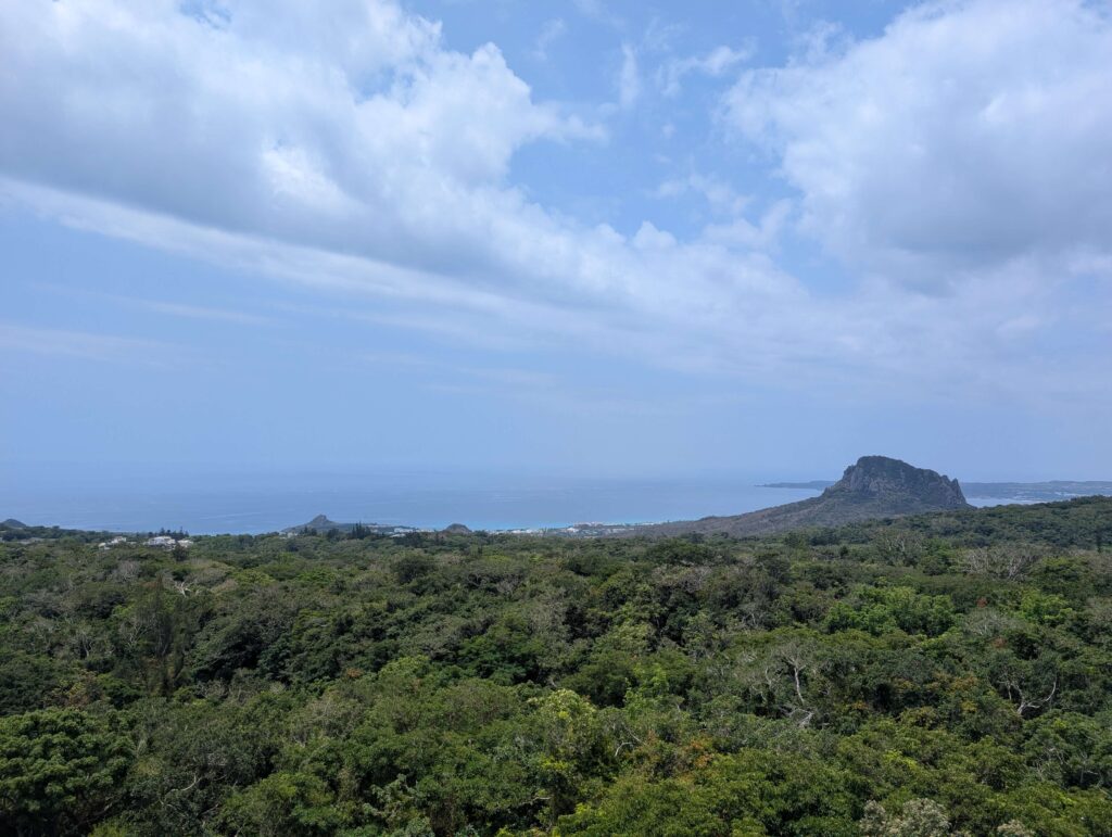 A view from Kenting National Park, looking out over the forest, out to the coast.
