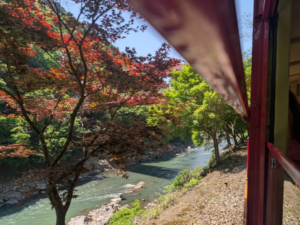 An image out of a train window, looking into a river valley, lined with green and red, leafy trees.