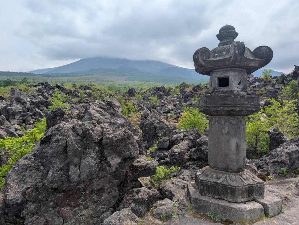 An image across a landscape of jagged volcanis black rocks.