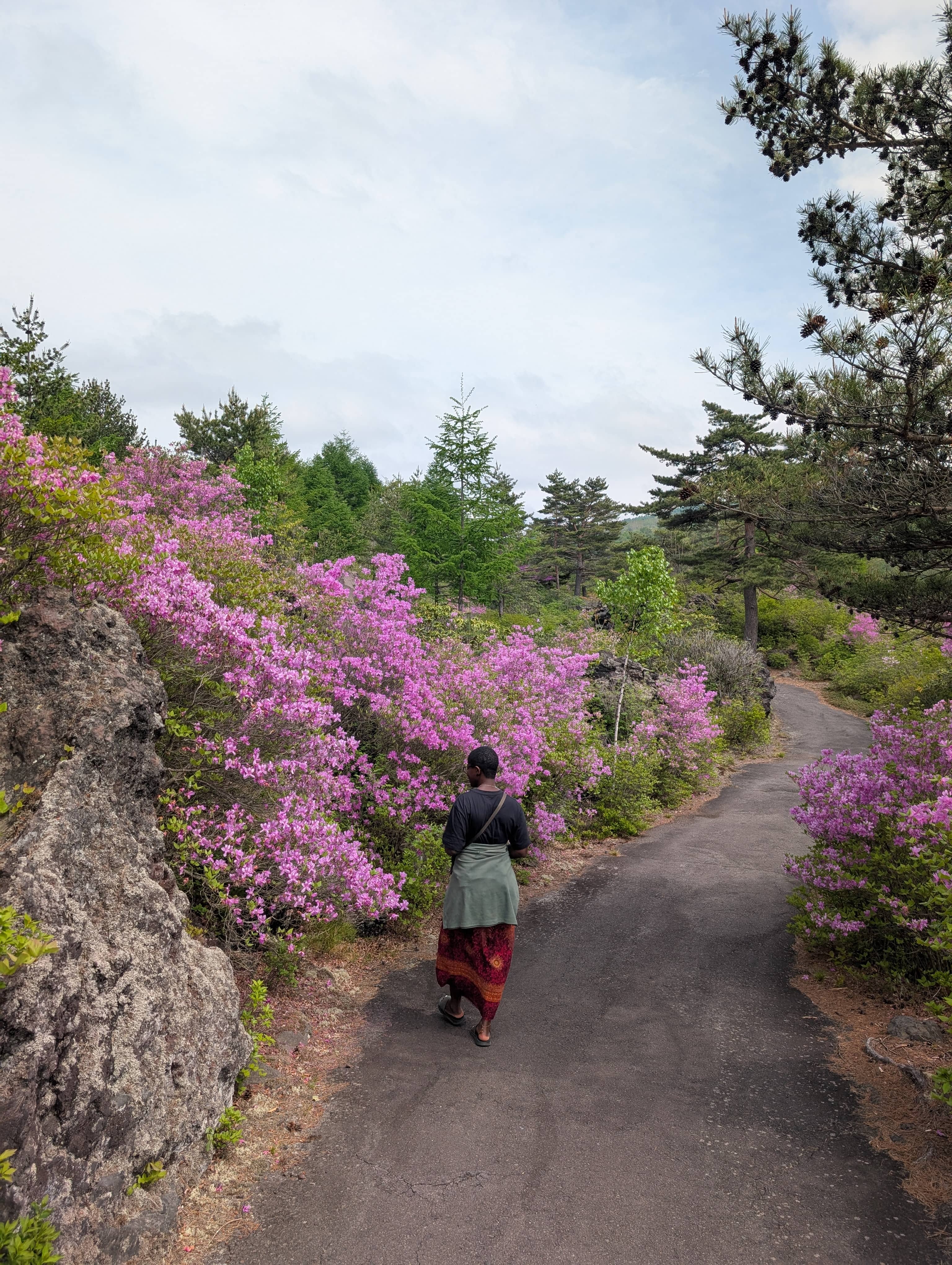 An image of Mary-Ann walking past a bank of pink flowers.