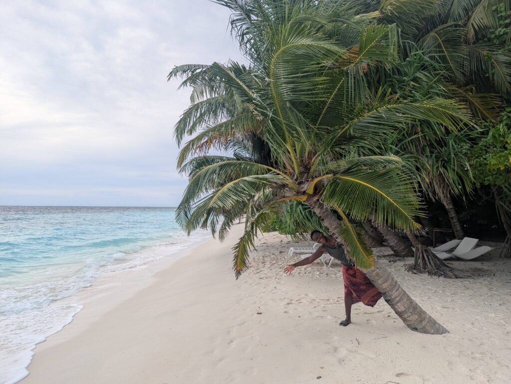 Mary-Ann being silly behind a small, leaning palm tree.